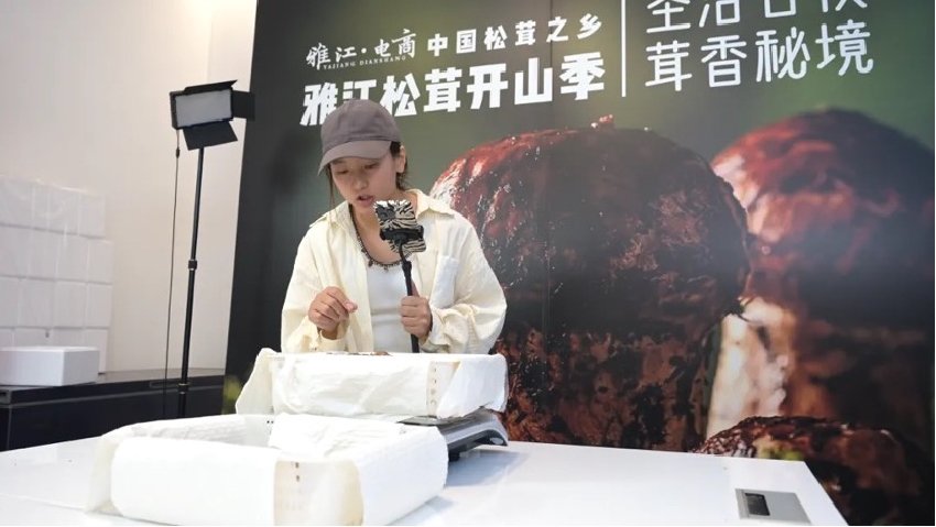 直播現場。雅江外宣供圖