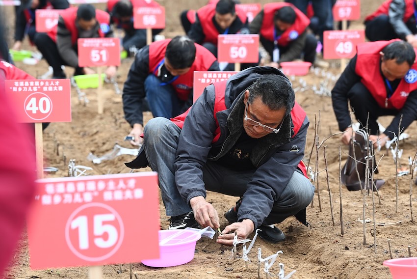 “梨鄉刀兒客”正在進行技能比賽。蒼溪縣人社局供圖