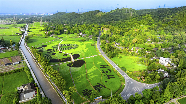 崇州竹藝村。成都世運會開閉幕式導演組供圖