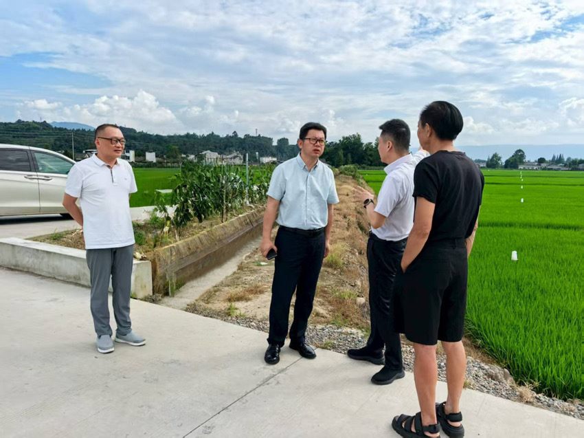 人民網四川頻道調研組調研洪雅縣“天府糧倉”（示范片）建設工作。眉山市黨史和地方志編纂中心供圖