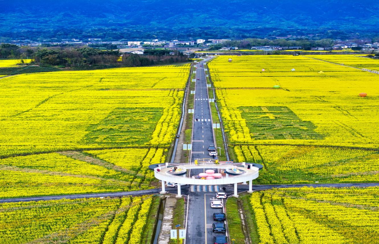 “天府糧倉”洪雅示范區柳江—東岳示范片。洪雅縣黨史和地方志編纂中心供圖