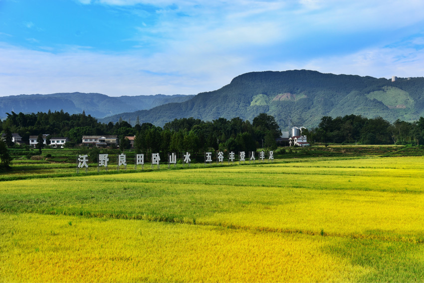 洪雅縣天府糧倉示范片。洪雅縣黨史和地方志編纂中心供圖