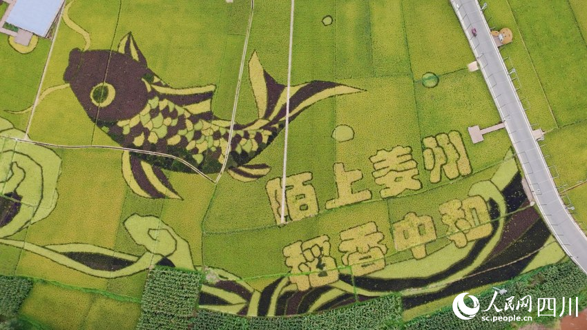 會東縣姜州田園綜合體中和村（部分）。人民網 趙祖樂攝