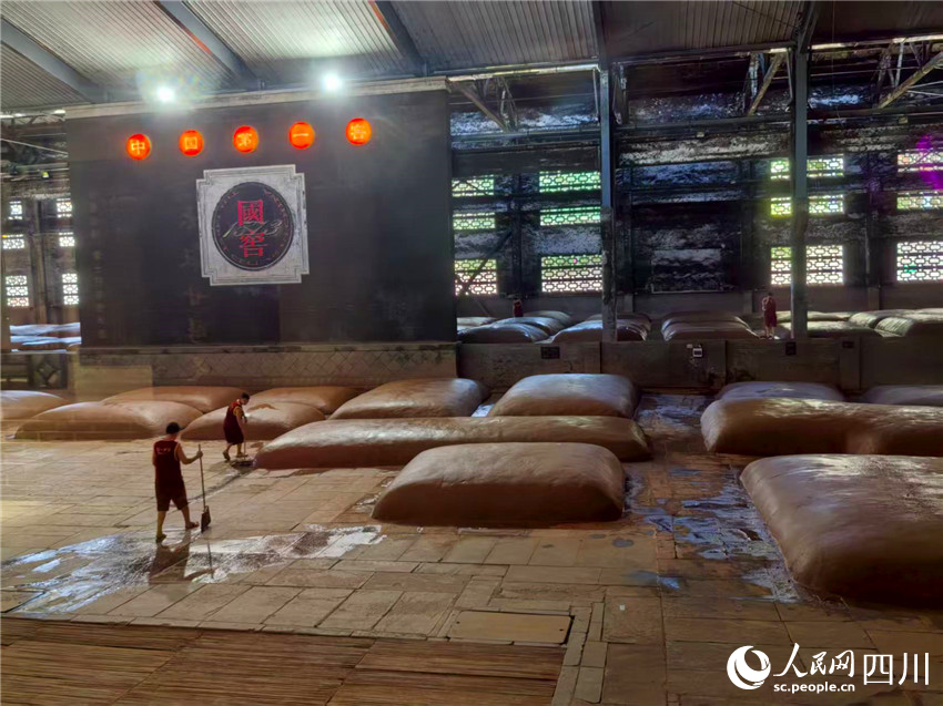 國寶窖池內，工人在勞動。人民網記者 劉海天攝