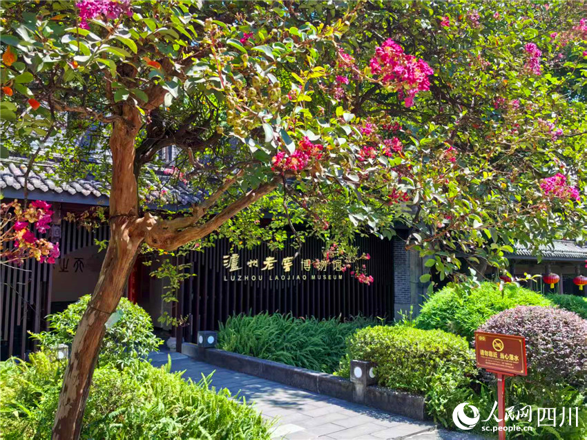 鮮花掩映的瀘州老窖博物館。人民網記者 劉海天攝