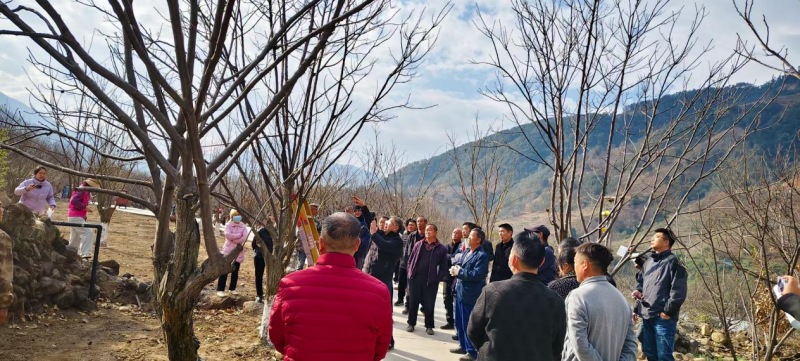 專家指導。張霖攝