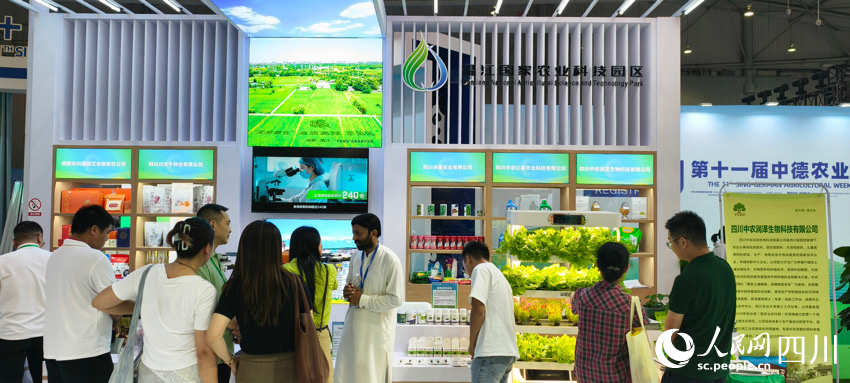 博覽會現場。張夢佳攝