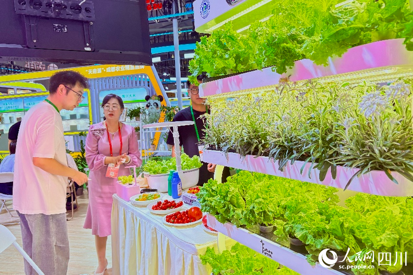 家庭式智慧種植機吸引了不少市民前來。人民網記者 朱虹攝