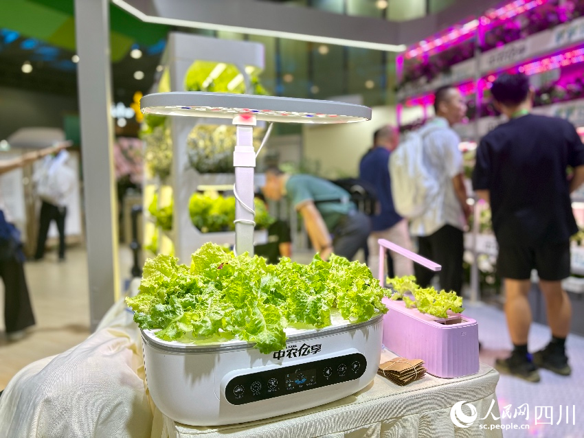 桌面智慧種植機。人民網記者 朱虹攝