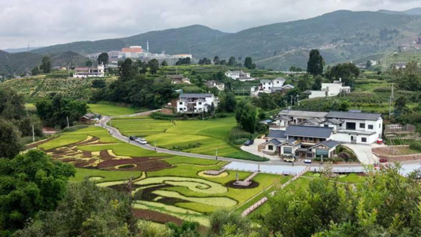 “陌上姜州”：石榴紅了，日子火了“陌上花開，可緩緩歸矣?！鼻昵暗脑娫~意境，如今在四川省涼山州會東縣姜州鎮成為現實。