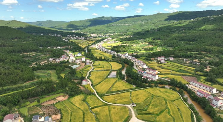 劍南糧油園區。楊文波供圖