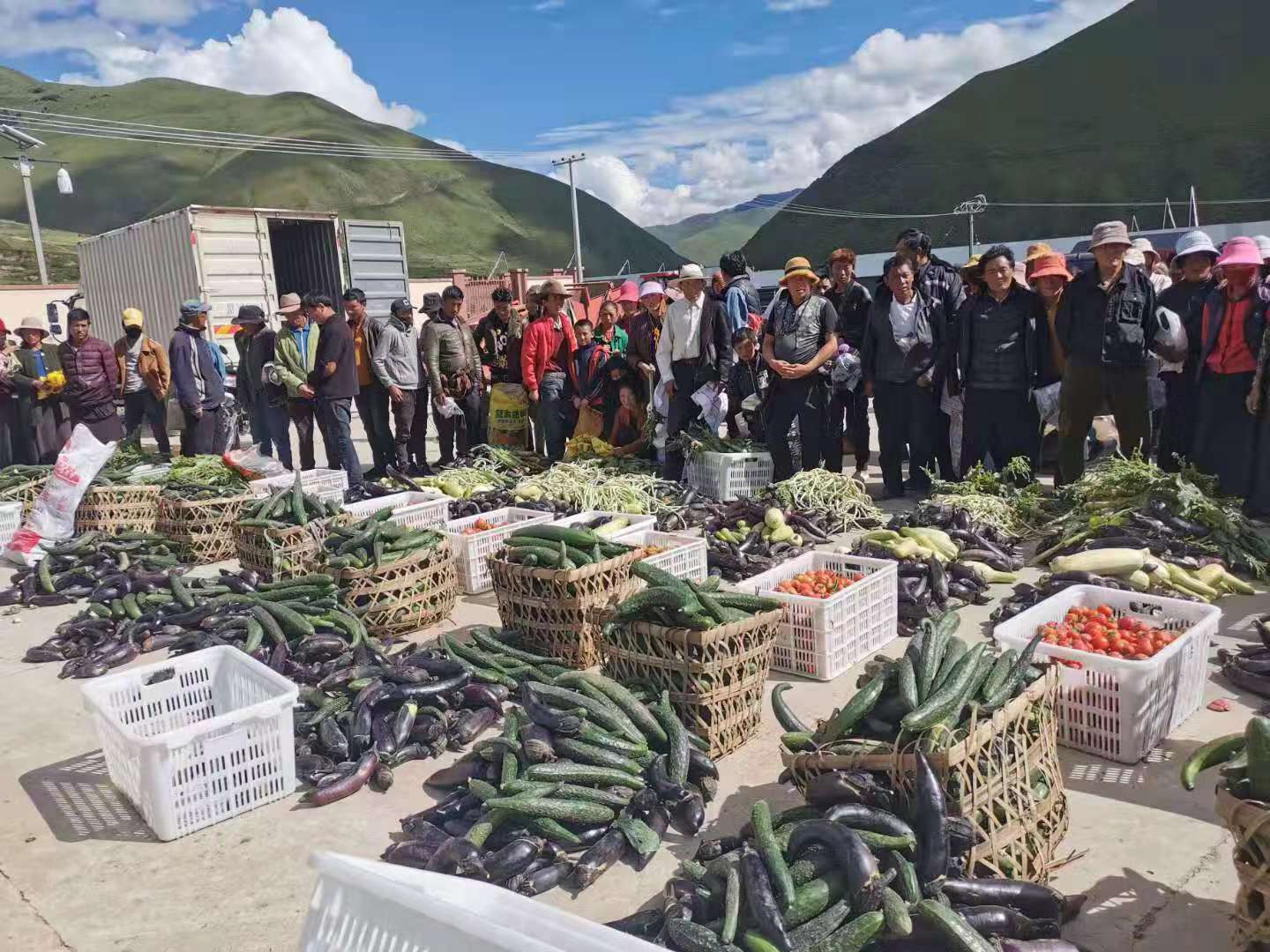 蔬菜收購。成都市高新區（簡陽市）對口支援工作隊、德格縣溫拖鎮康郎村駐村工作隊供圖