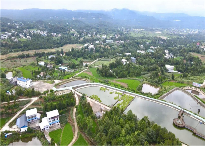“蒼溪鱉”生態養殖基地。蒼溪縣融媒體中心供圖