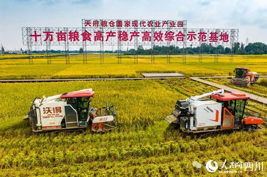 位于崇州的天府糧倉國家現代農業產業園。李旭攝