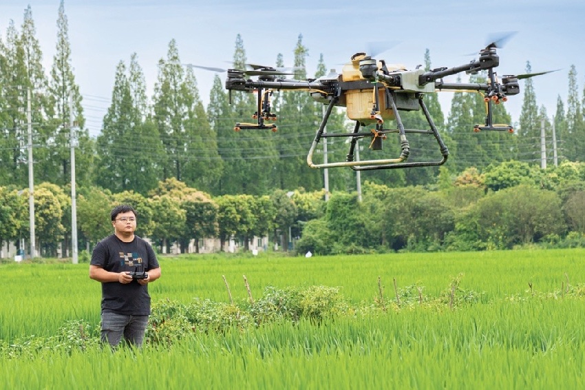 在田間作業的舒星宇。受訪者供圖