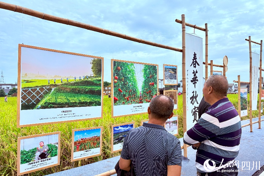 田園詩畫攝影展。人民網記者 朱虹攝