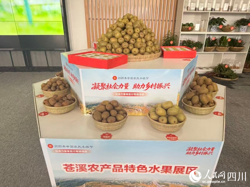 蒼溪紅心獼猴桃。韓青化祎攝