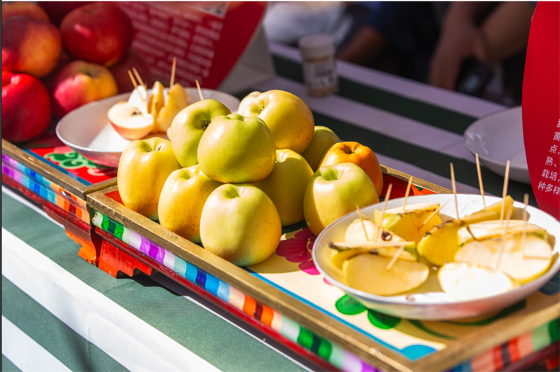 成熟的蘋果。主辦方供圖