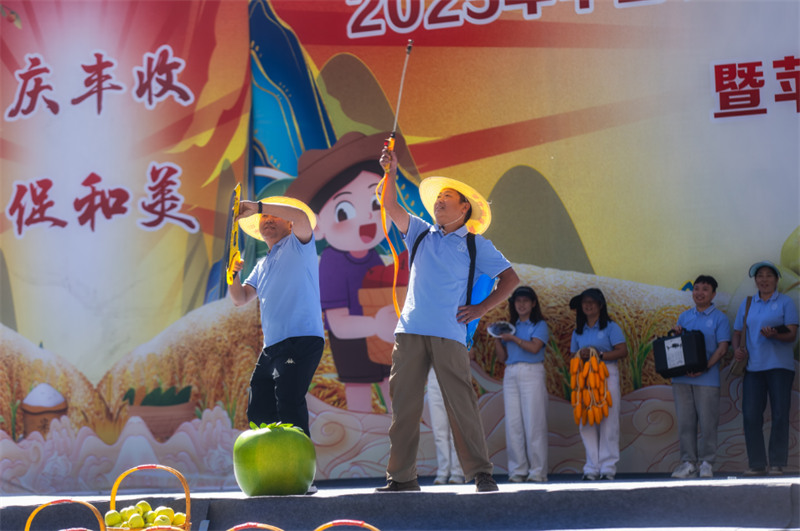 文藝表演。主辦方供圖