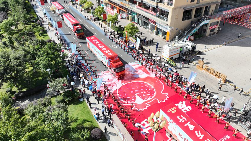 100輛貨車滿載2500噸石榴駛向全國，傳遞豐收喜悅。涼山州委宣傳部供圖