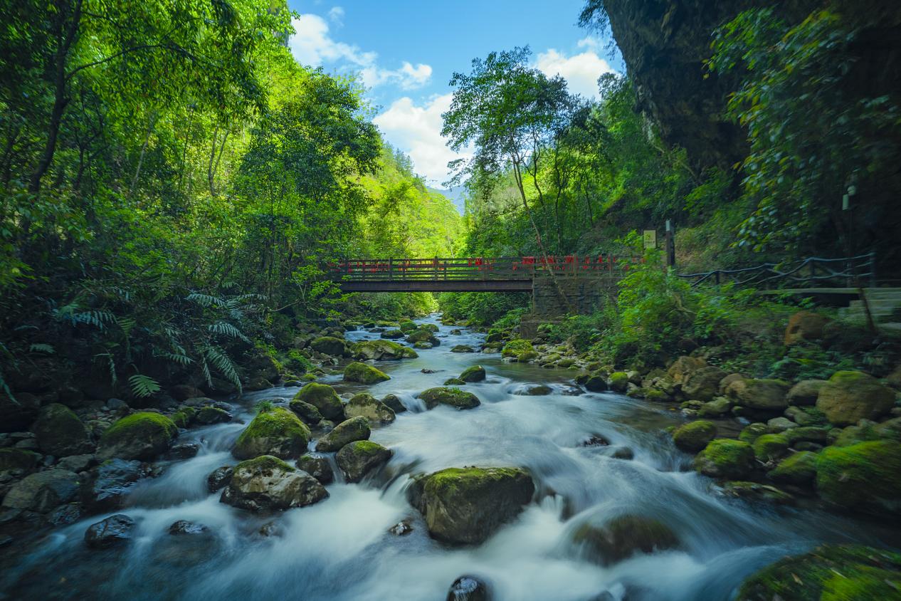 桃溪谷。巴山大峽谷景區供圖