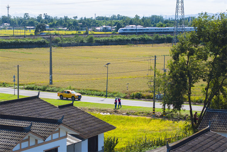 “雙節”期間，國網四川電力（成都崇州）連心橋共產黨員服務隊在崇州市五星村開展配電設備測溫巡視工作。國網成都供電公司供圖