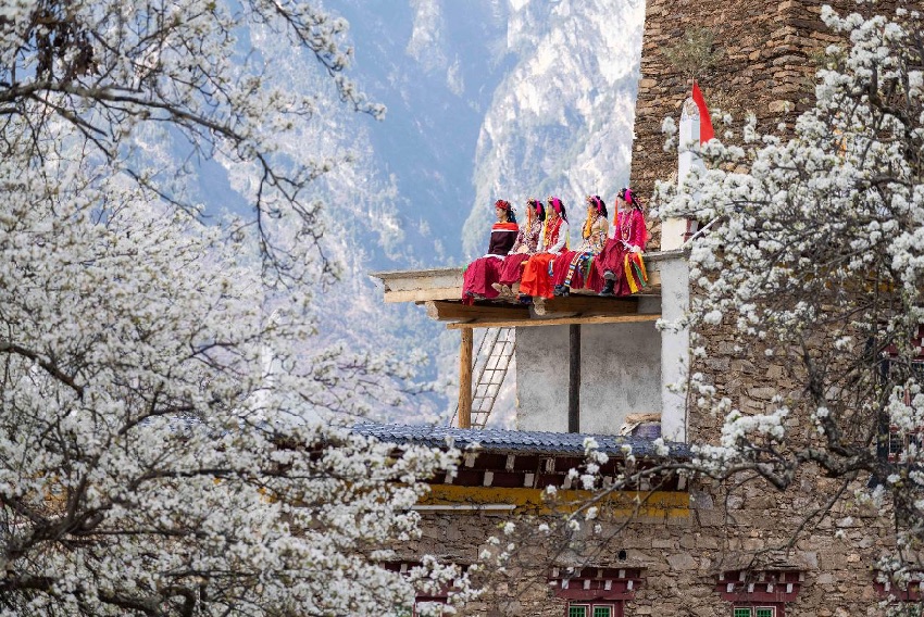 美人美景構成一幅動人的春之畫卷。甘孜州文廣旅局供圖