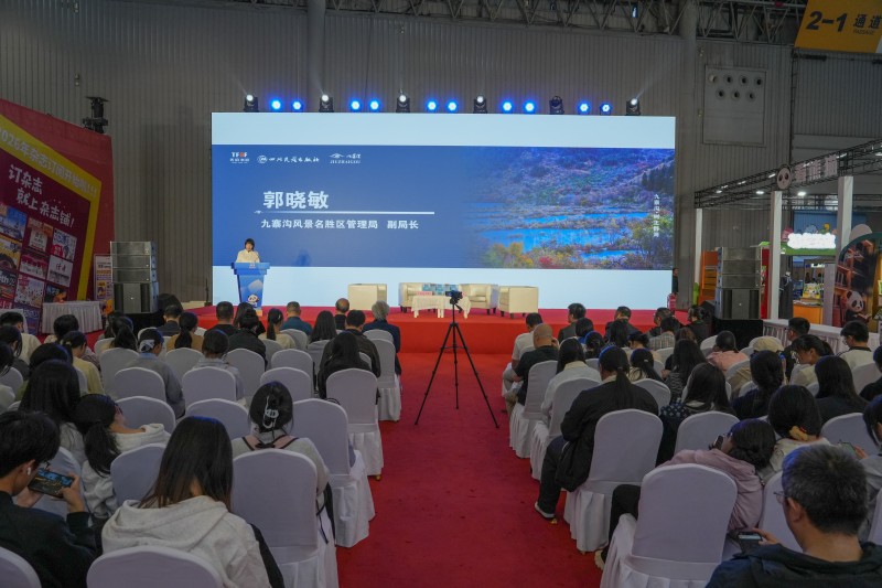 發布會現場。主辦方供圖