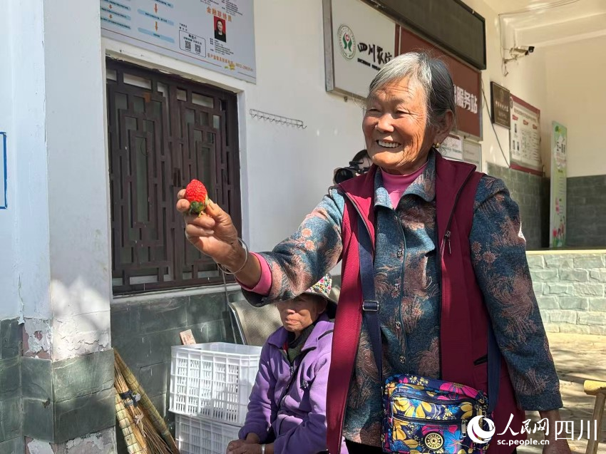 阿婆熱情邀請記者品嘗草莓。實習生 張雨欣攝