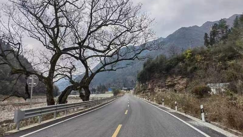 萬源市黑寶山黃鐘鎮至中坪鄉旅游公路建設項目。農發行四川省達州市分行供圖