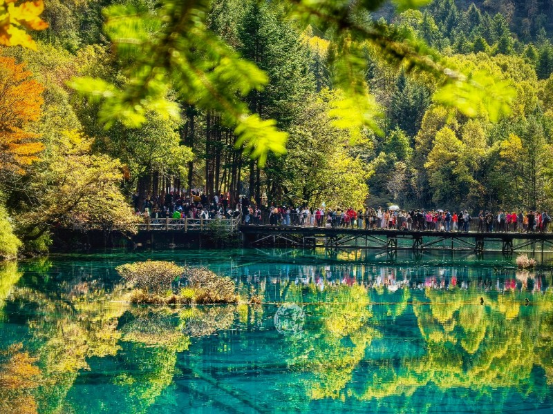 游客在五花海賞美景。九管局供圖