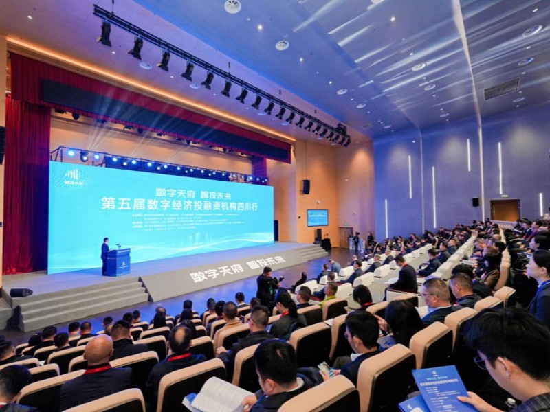 活動現場。主辦方供圖