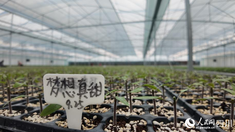 DJI_20251027142307_0202_D