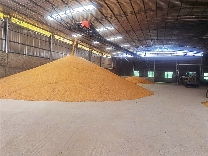 烘干倉儲中心。劍閣縣融媒體中心供圖