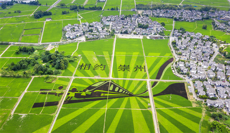 崇州鄉村一角。崇州市委宣傳部供圖