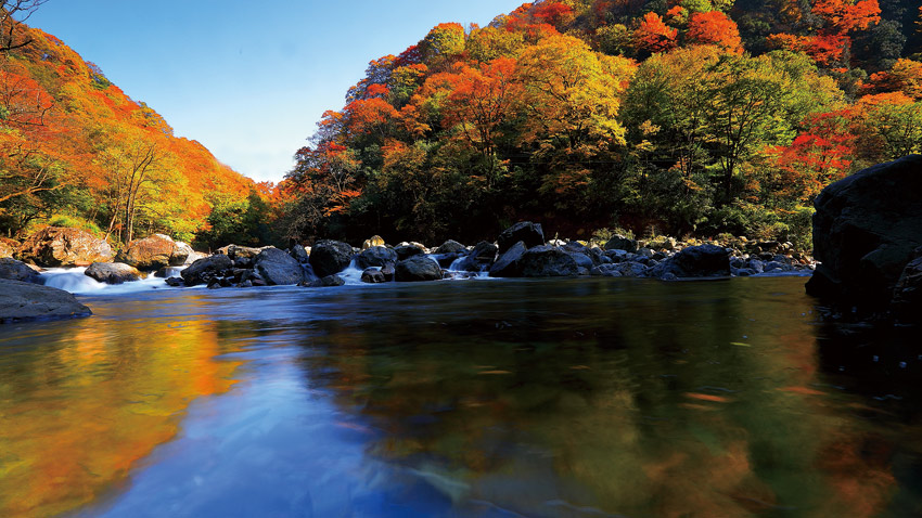 高山流水秋色濃，夢幻蘭溝醉葉紅。巴中市委宣傳部供圖