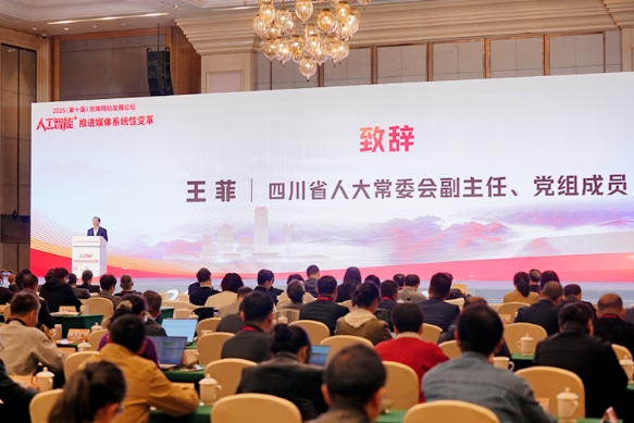 四川省人大常委會副主任、黨組成員王菲致辭