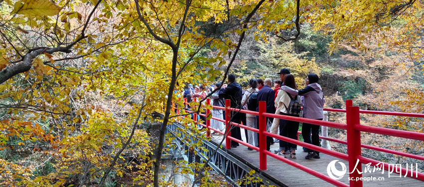 紅葉景區美，人在畫中游。人民網記者 劉海天攝