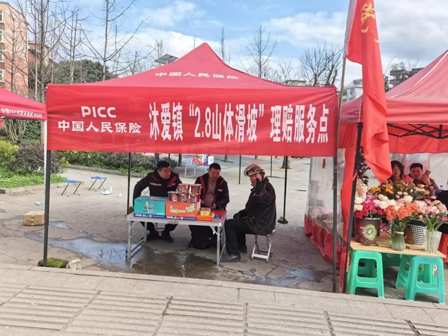 黨員突擊隊在服務點向受災村民提供保險理賠服務。四川人保財險供圖