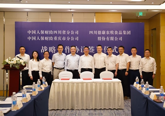 人保財險川、渝分公司與德康農牧簽約儀式。四川人保財險供圖