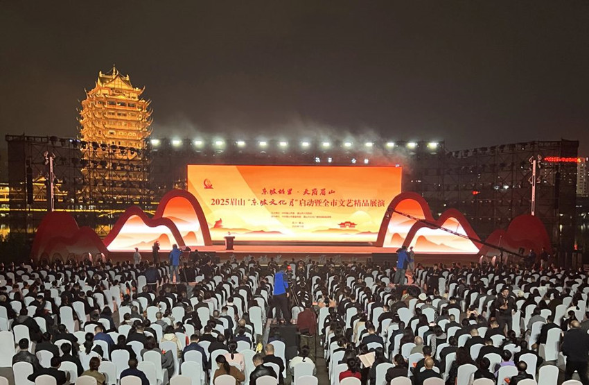 活動現場。眉山市委宣傳部供圖