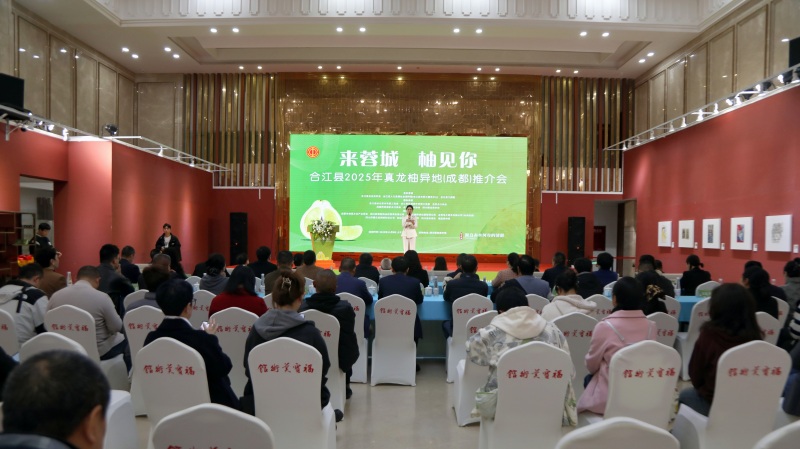 活動現場。合江融媒供圖