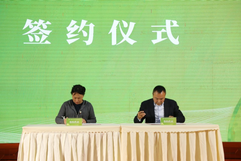 簽約儀式。合江融媒供圖