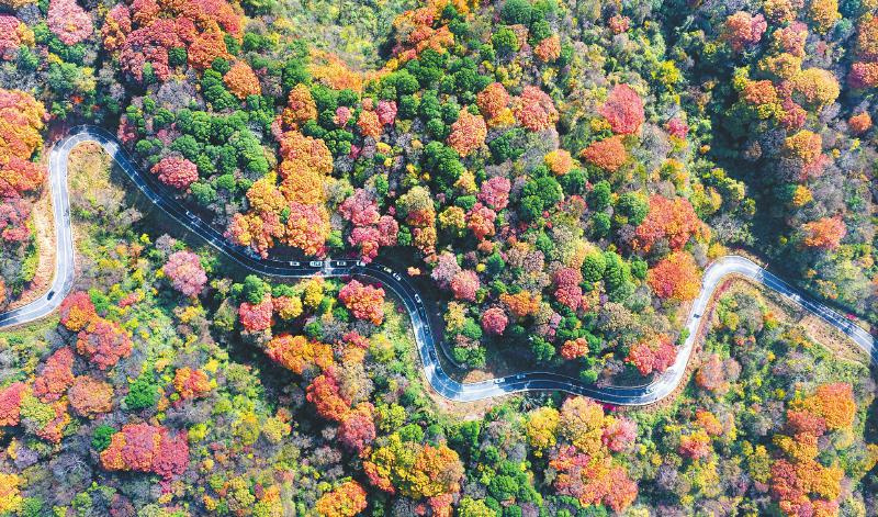 航拍米倉山一角。旺蒼縣融媒體中心供圖