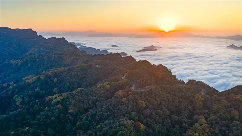 米倉山云海。旺蒼縣融媒體中心供圖