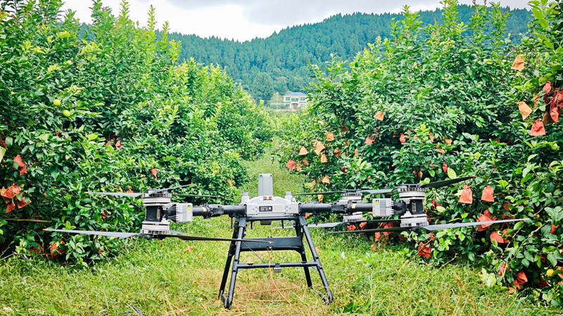 吊運間隙，無人機換電池。吳昊江攝