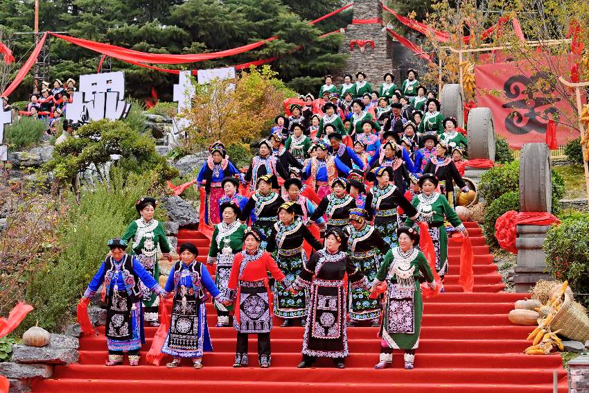 活動現場。主辦方供圖