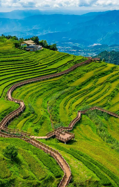 新山村千年梯田。米易縣新山傈僳族鄉新山村委會供圖