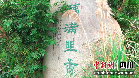 成都市郫都區。唐啟浩 攝