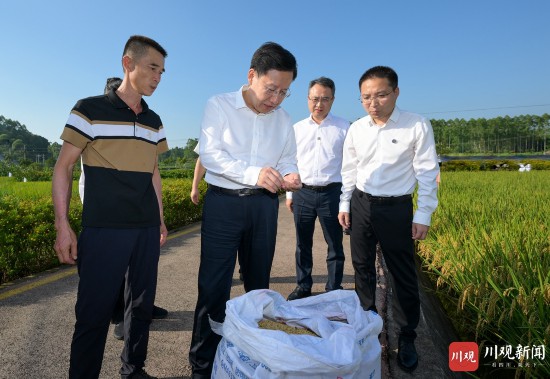 8月21日，省委書記王曉暉到榮縣賴河壩糧油現代農業園區調研，察看水稻成熟及收割情況，了解秋糧穩產增產及助農增收情況。